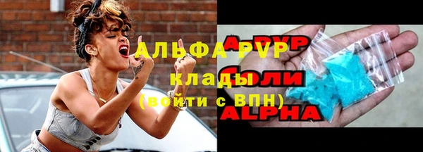 сатива Аркадак