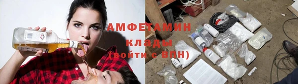 сатива Аркадак