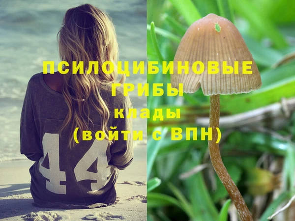 сатива Аркадак