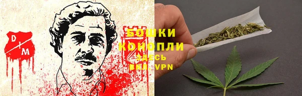 сатива Аркадак